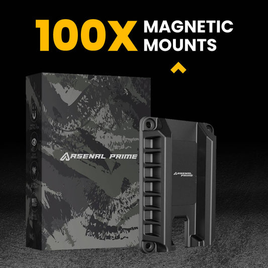 BUY 100 - Armament Pro